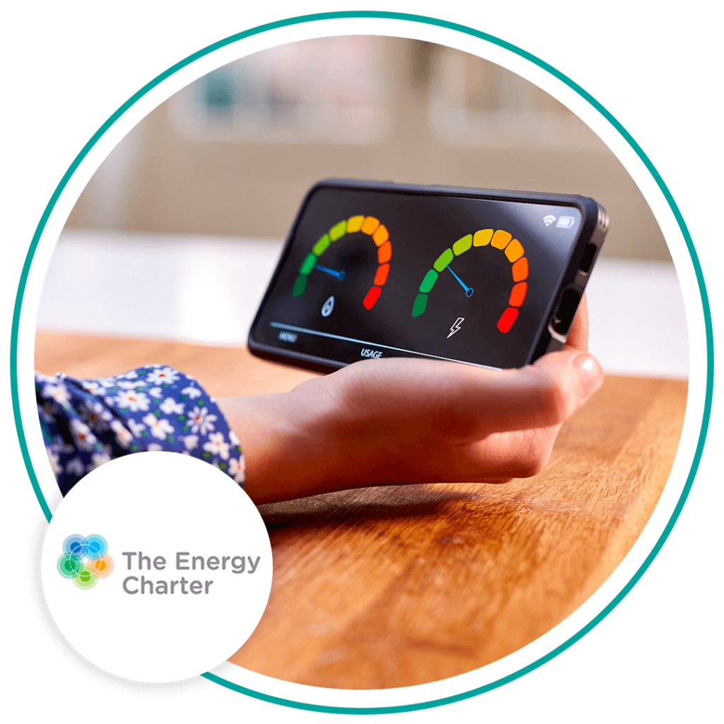 Header image shows someone holding a hand held energy metre