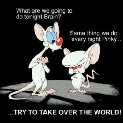 Illustration of pinky and the brain. Pinky: what are we going to do tonight? Same thing as every night Pinky... TRY TO TAKE OVER THE WORLD! 
