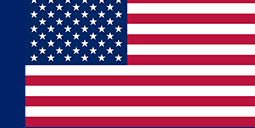 Image with USA flag