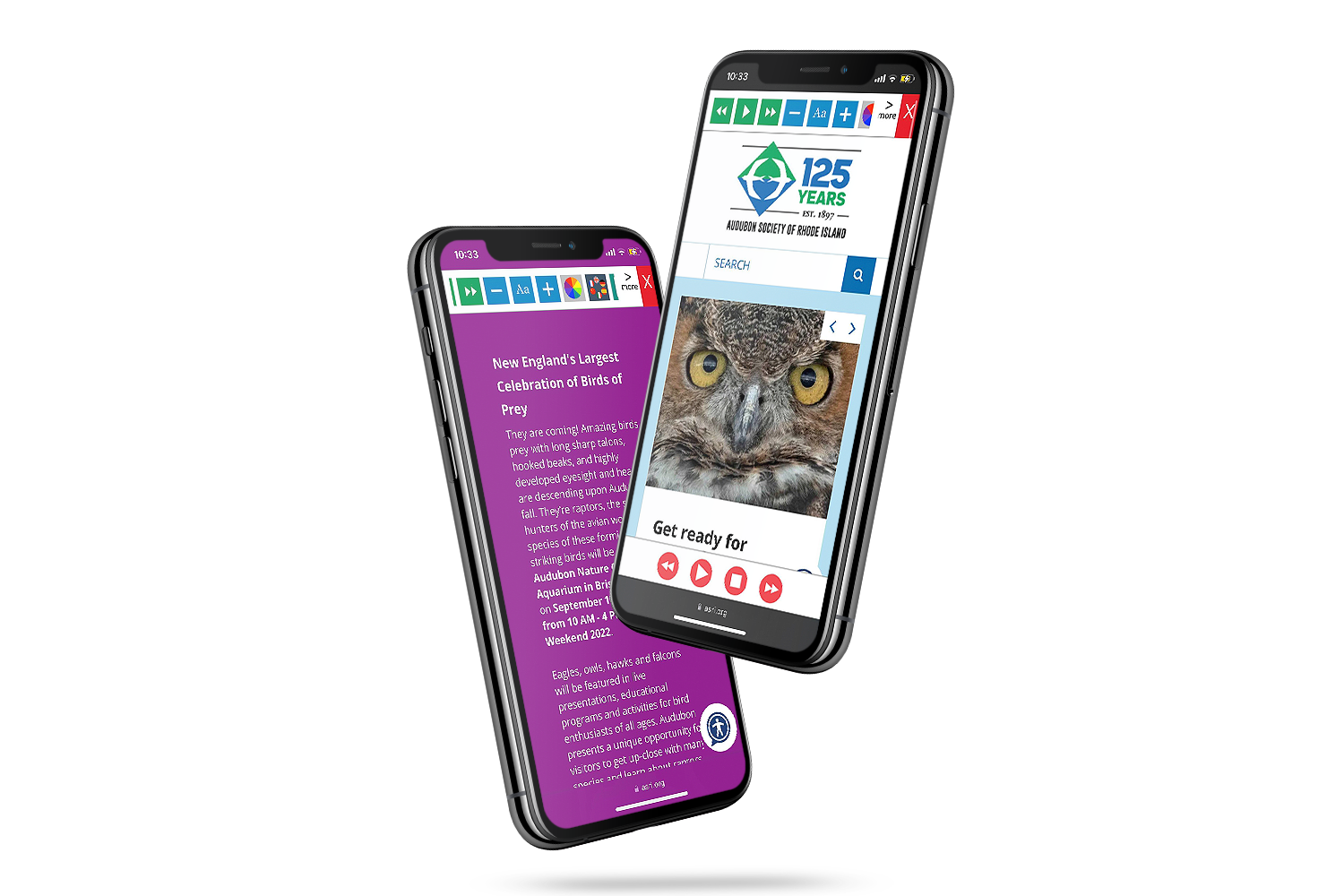 Mobiles with Audubon Society of Rhode Island website using the Recite Me assistive toolbar