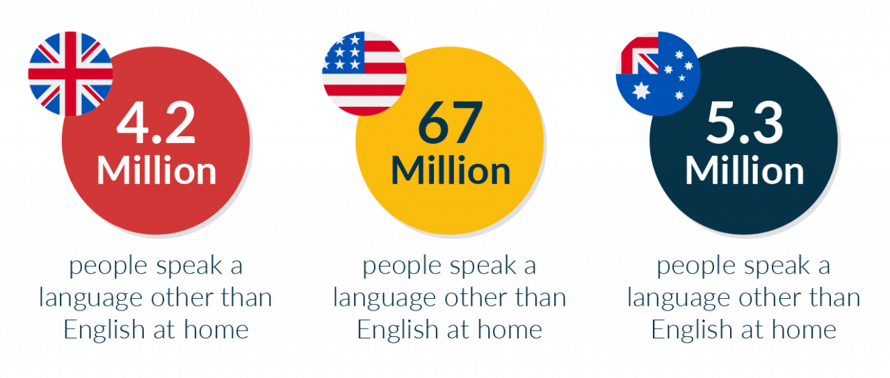 A graphic showing language statistics