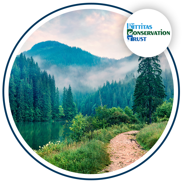 Nature image with logo of Kittitas Conservation Trust