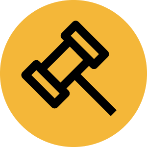 Compliance icon