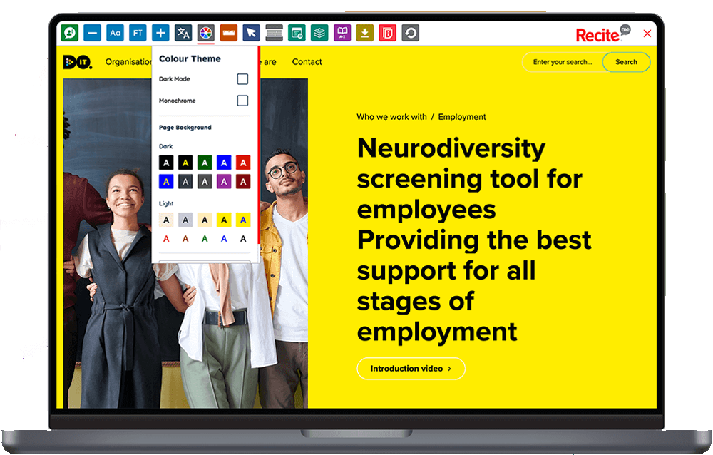 Mock-up of the Recite Me Toolbar being used on the Do-It Profiler website.