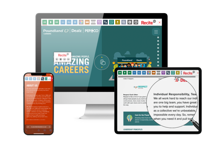 Poundland Careers Accessible site Recite Me