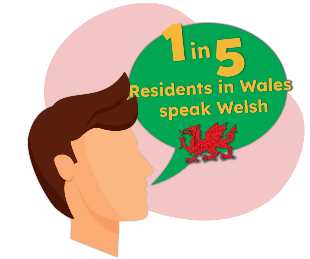 1 in 5 Residents speak welsh