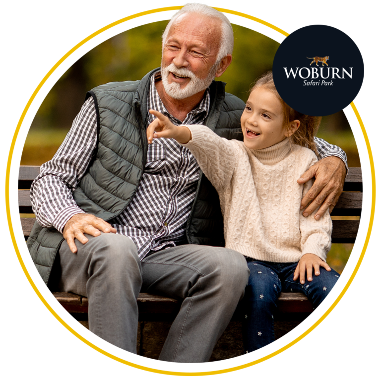 Elderly man and child sitting on a bench and smiling. The child is pointing at something you cannot see.