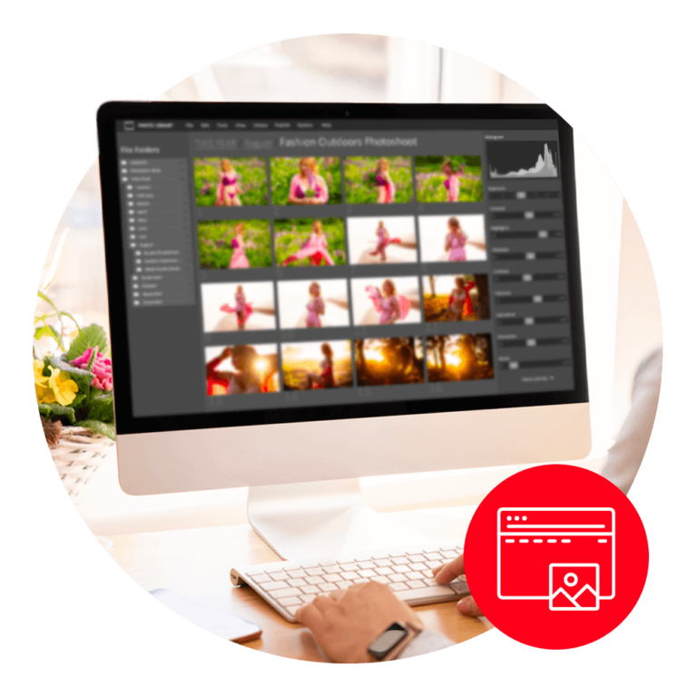 someone looking at images on a computer screen