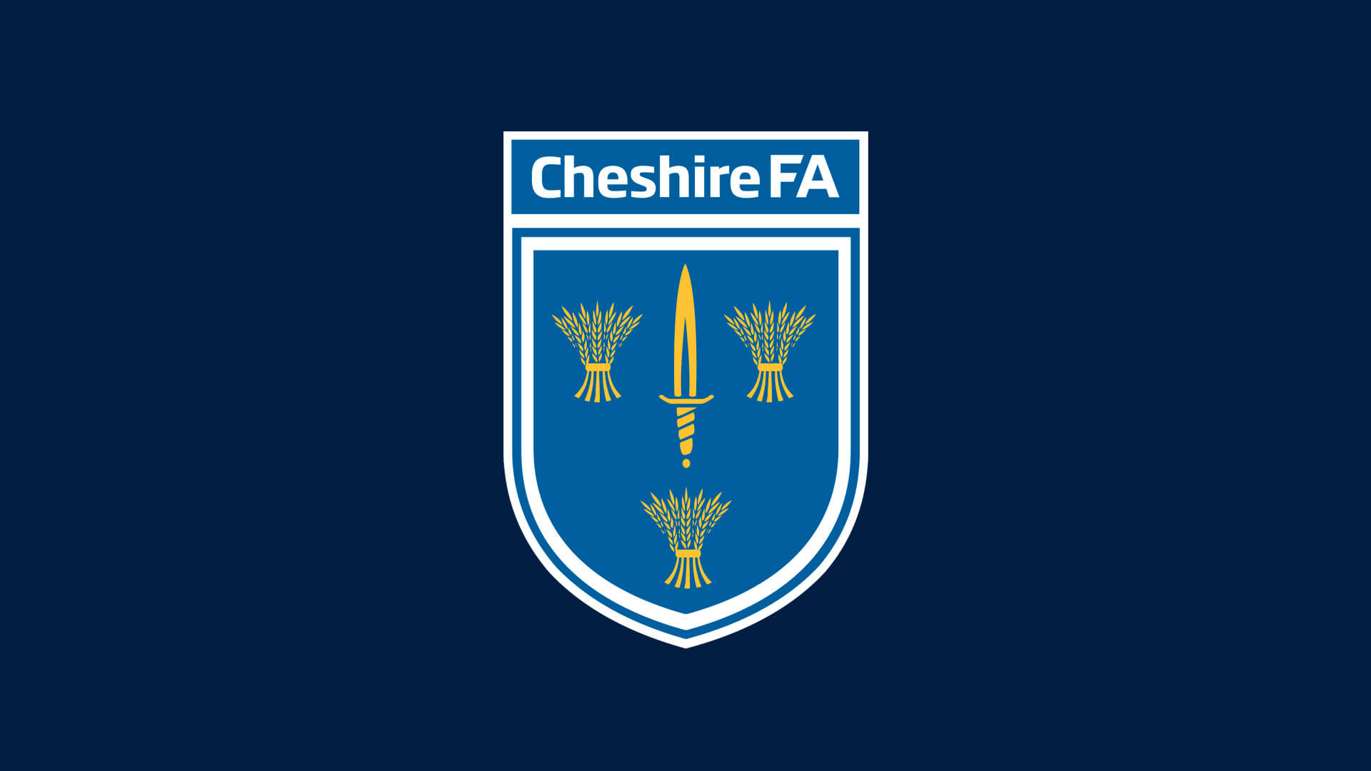 Cheshire FA success story for the Recite Me toolbar