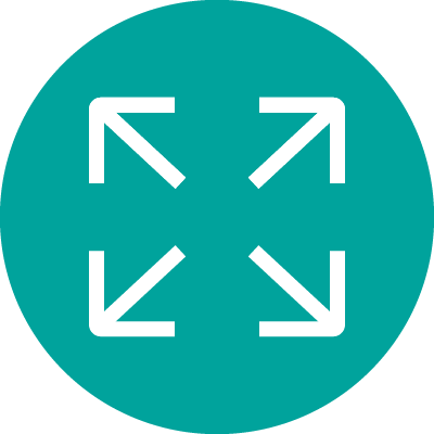 Scaling icon
